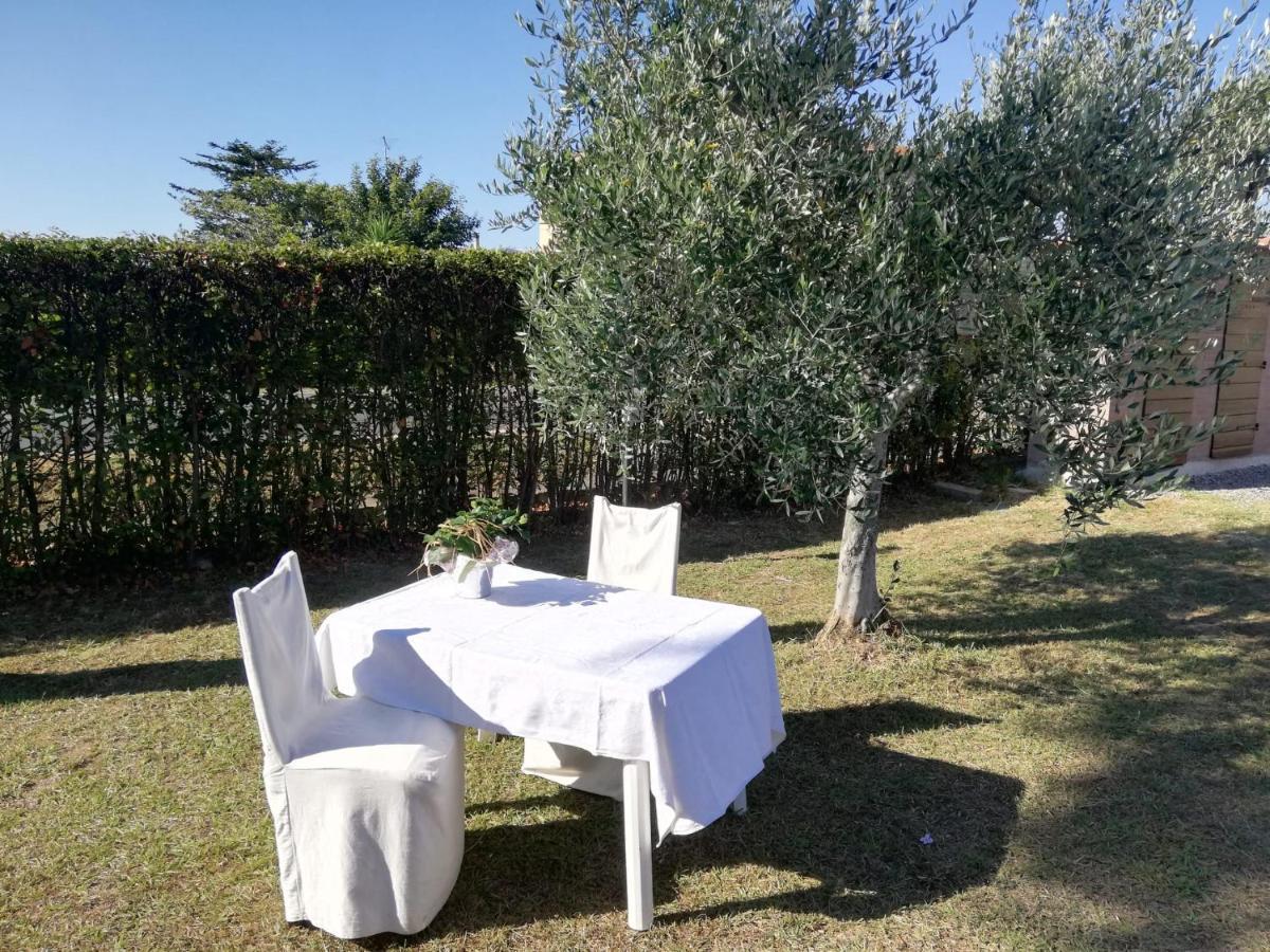 Apartmán L'Aia Degli Olivi Vada Exteriér fotografie