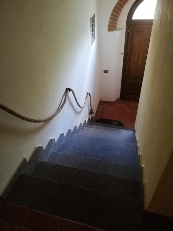 Apartmán L'Aia Degli Olivi Vada Exteriér fotografie