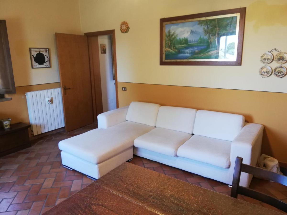 Apartmán L'Aia Degli Olivi Vada Exteriér fotografie